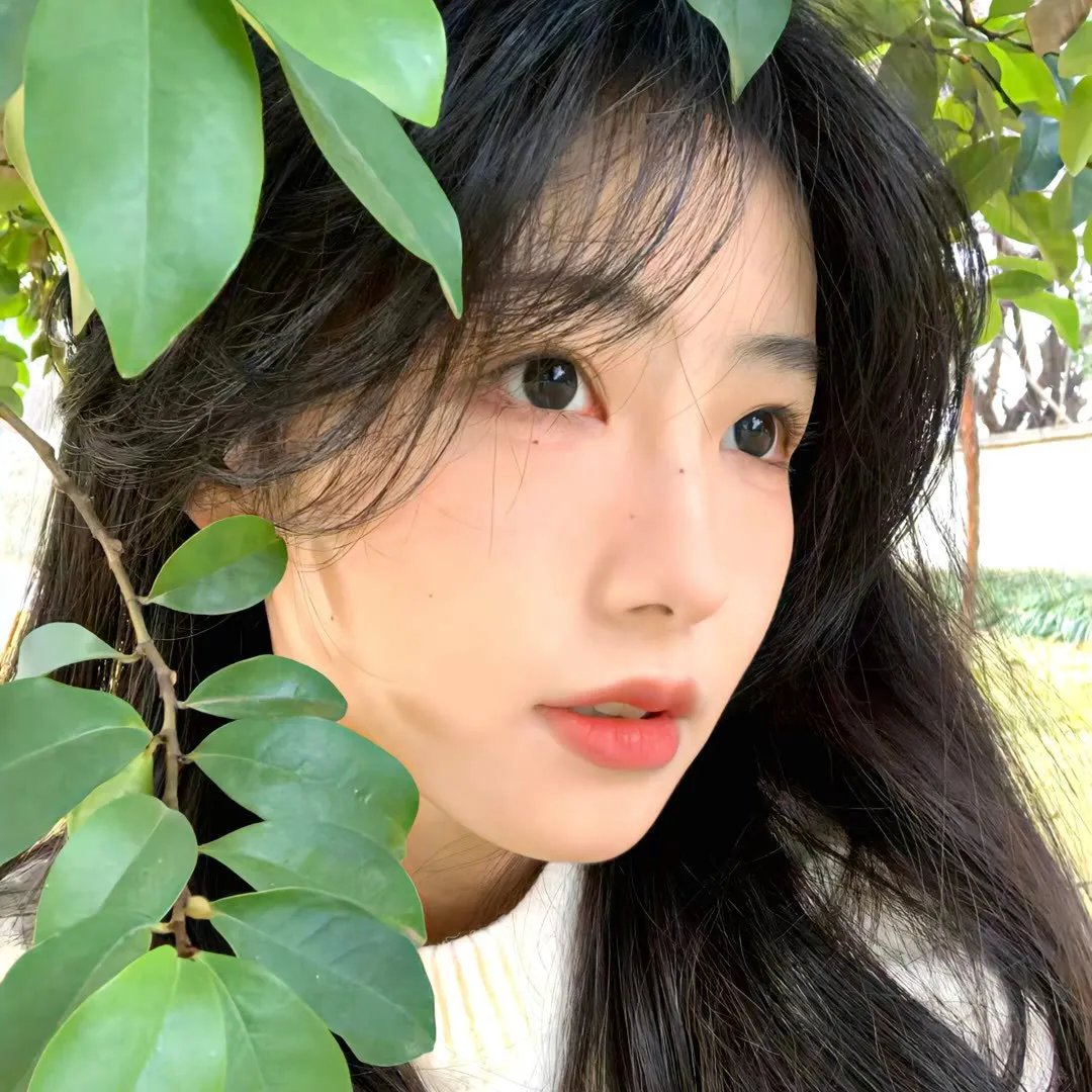 九域之天眼崛起